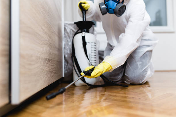 Best Affordable Pest Control Services  in Valley Falls, RI