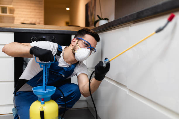 Best Emergency Pest Control  in Valley Falls, RI