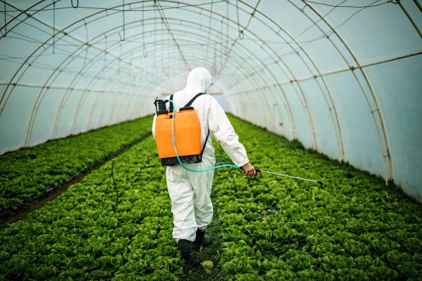 Best Mosquito Control Services  in Valley Falls, RI
