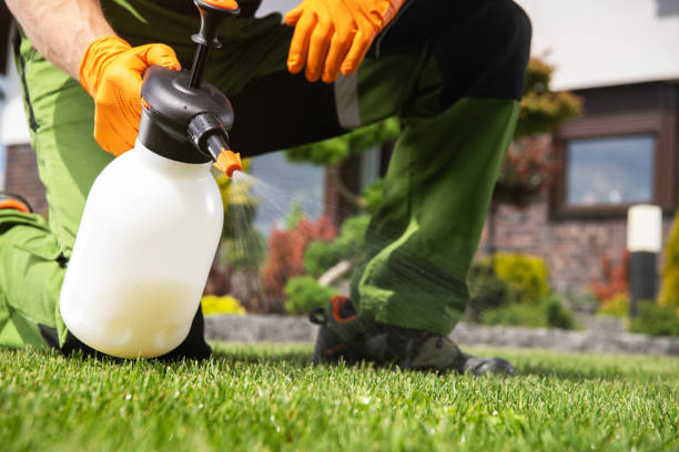 Best Cockroach Control Services  in Valley Falls, RI