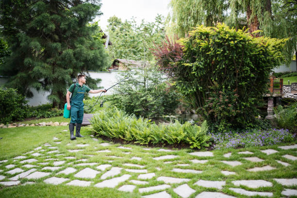 Best Exterminator Services  in Valley Falls, RI
