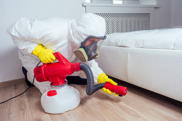 Best Rat Extermination Near Me  in Valley Falls, RI
