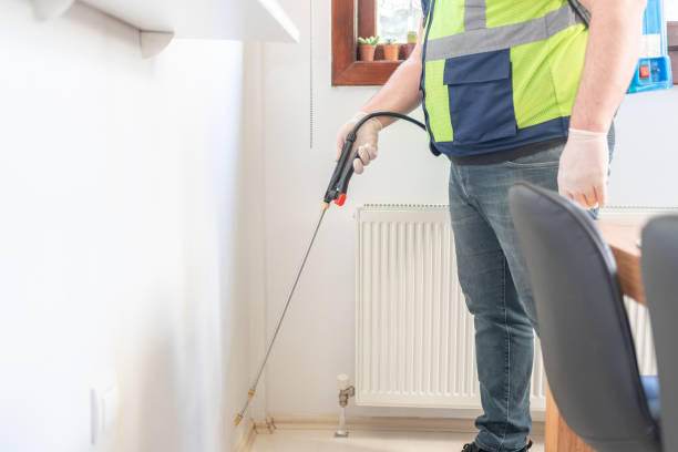 Best Flea Control Services  in Valley Falls, RI