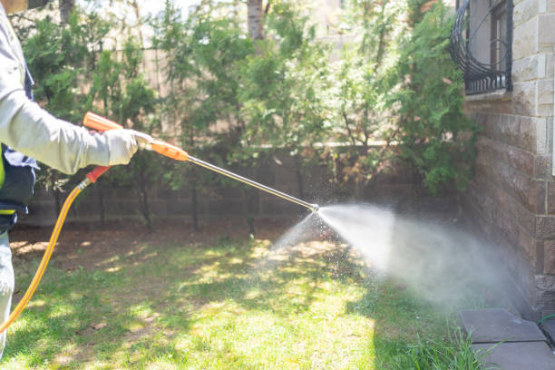 Best Best Pest Control Companies  in Valley Falls, RI