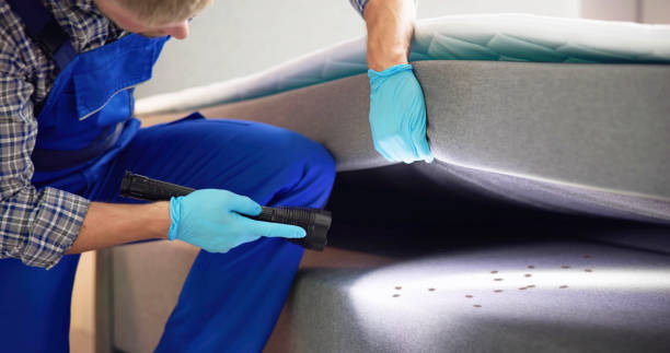 Best Pest Control Near Me  in Valley Falls, RI