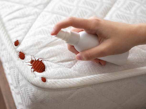 Best Pest Prevention Services  in Valley Falls, RI