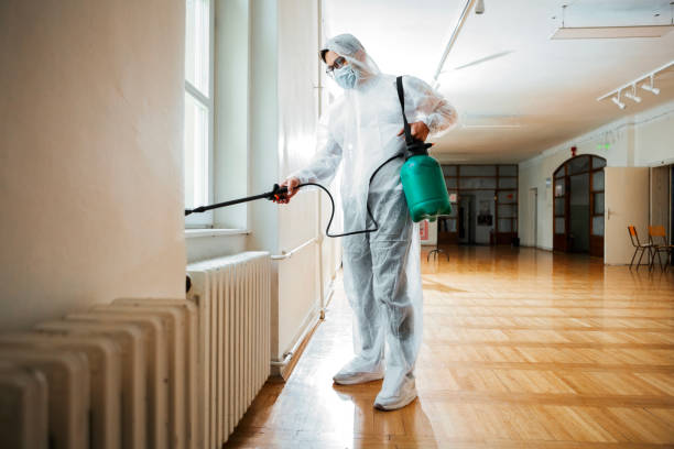 Best Emergency Pest Control  in Valley Falls, RI
