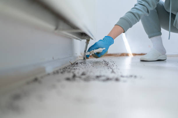 Best Rodent Control Near Me  in Valley Falls, RI