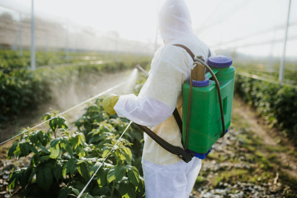 Best Pest Control for Businesses  in Valley Falls, RI